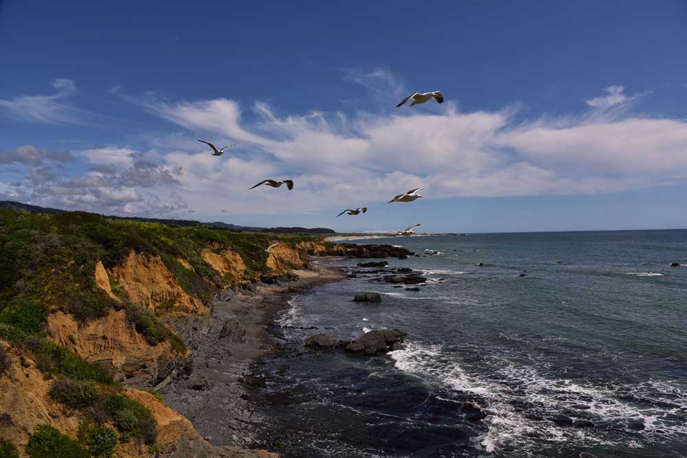 California Coast . Santa Cruz